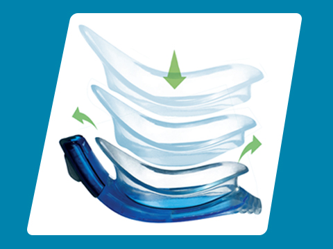 https://dev.speedo.co.il/wp-content/uploads/2019/04/PDP_tech-section_Biofuse_LOGO.jpg